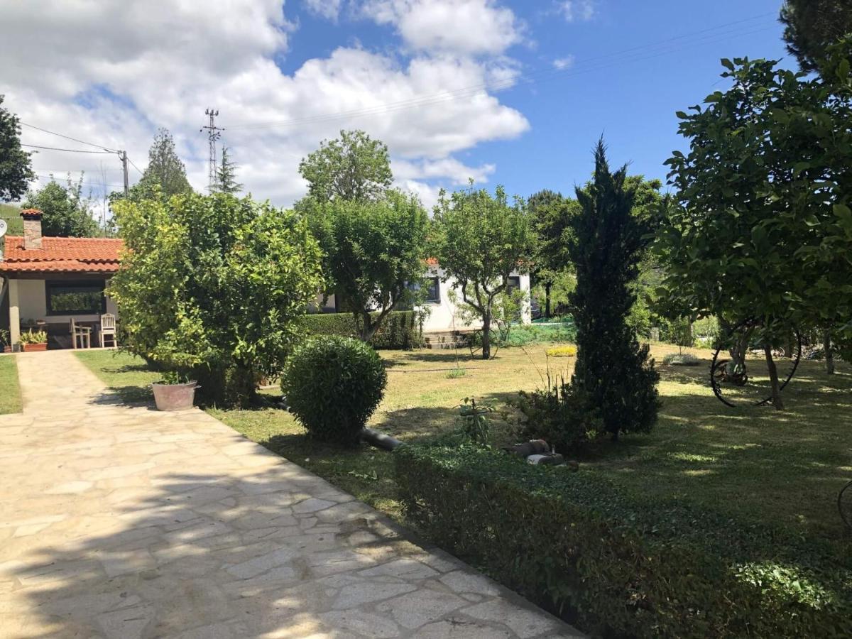 Casas Viriatus - Turismo Rural Paredes de Coura Extérieur photo